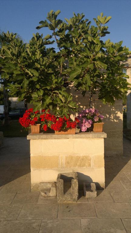 Masseria Grande 호텔 토레 델 로소 외부 사진